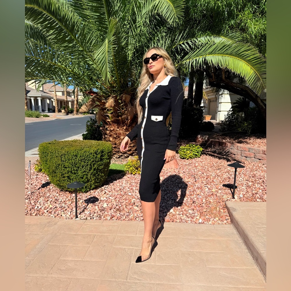 227 ‘Alex’ Elegant Black and White Button-Down Dress - Picture 5 of 9